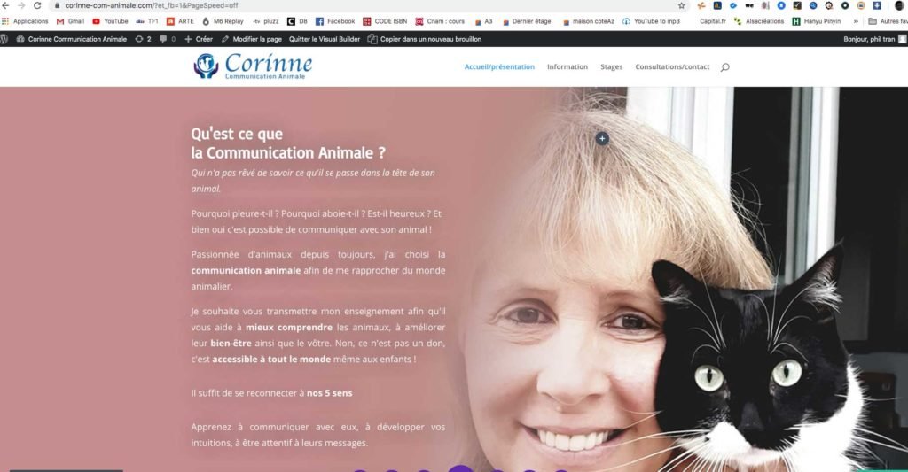Nextnet Agence Communication Freelance Nice Corinne Animal Site 1024x533