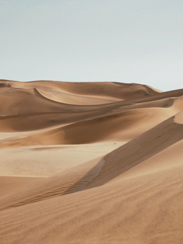 test0010 Desserts 02